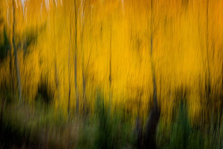 fall colors abstract