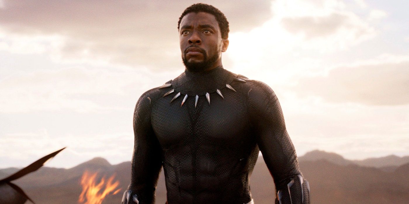 Black Panther stands unmasked in the MCU