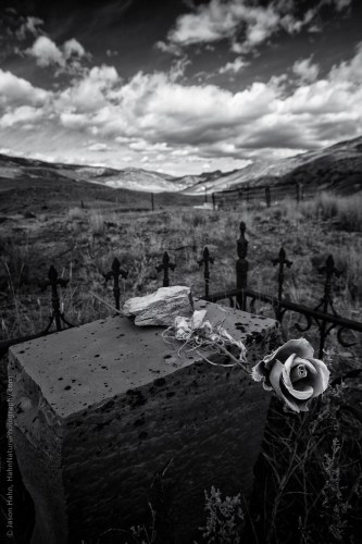 cemeteries rose on gravestone