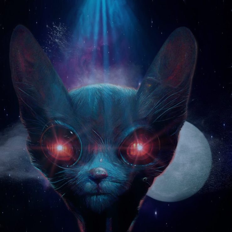 Space Cat mix of AI and Photoshop