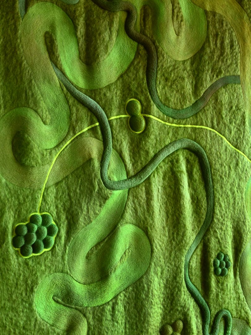 detail of green textile art