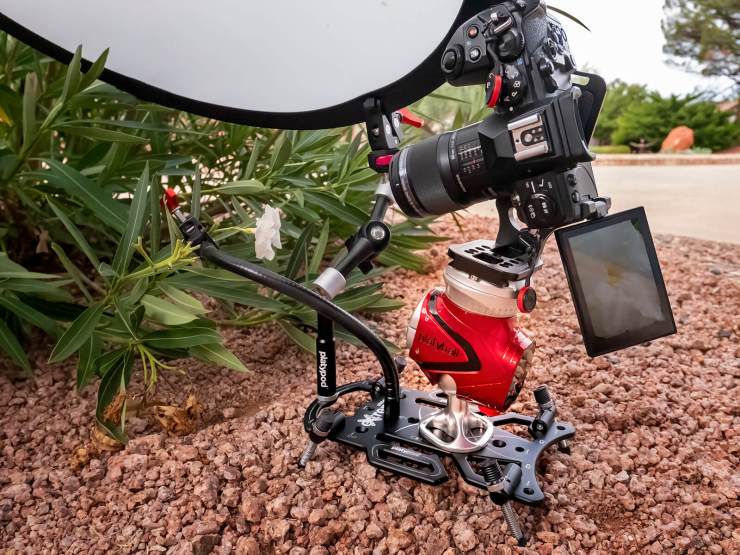 Photo gear used to photograph oleander bloom