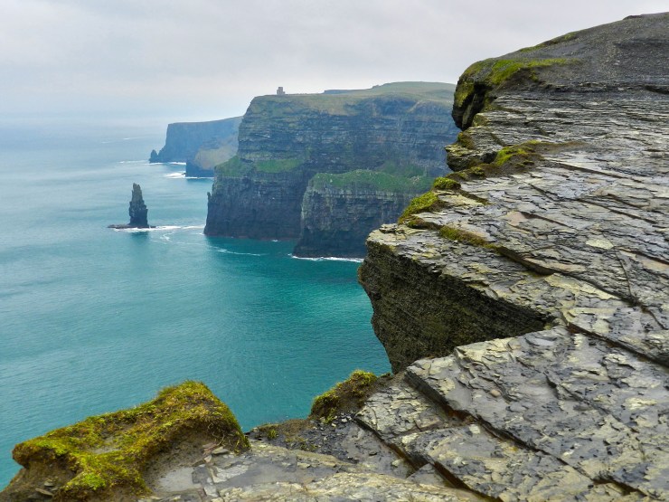 nature at the Cliffs of Moher