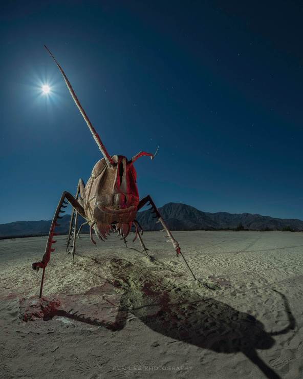 Cricket sculpture at night.