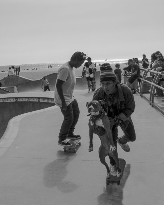 events skateboarders