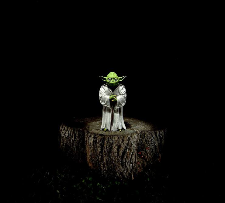 Yoda on tree stump.