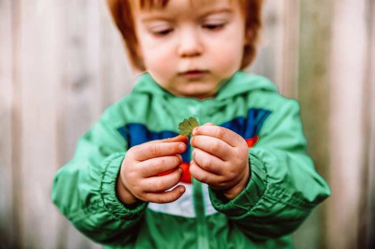 toddlers with leaf