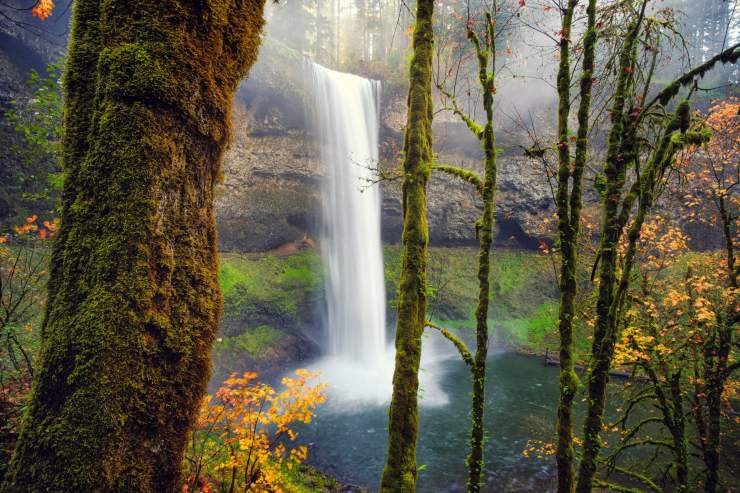 Silver Falls State Park in Oregon