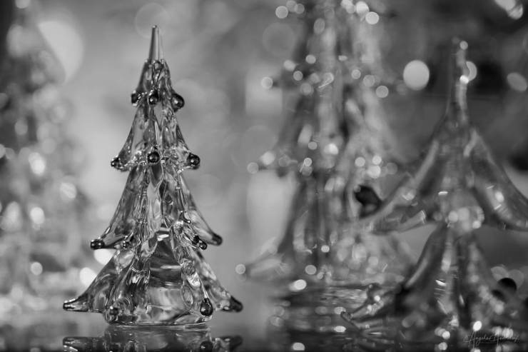 (c) Angela Andrieux Glass Christmas Trees