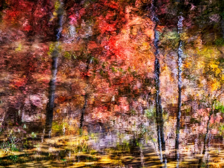 Fall color photo reflected in Oak Creek