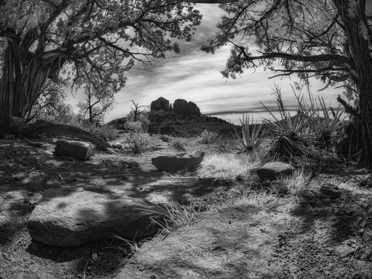 infrared photography image