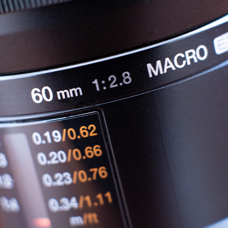 60mm olympus macro lens