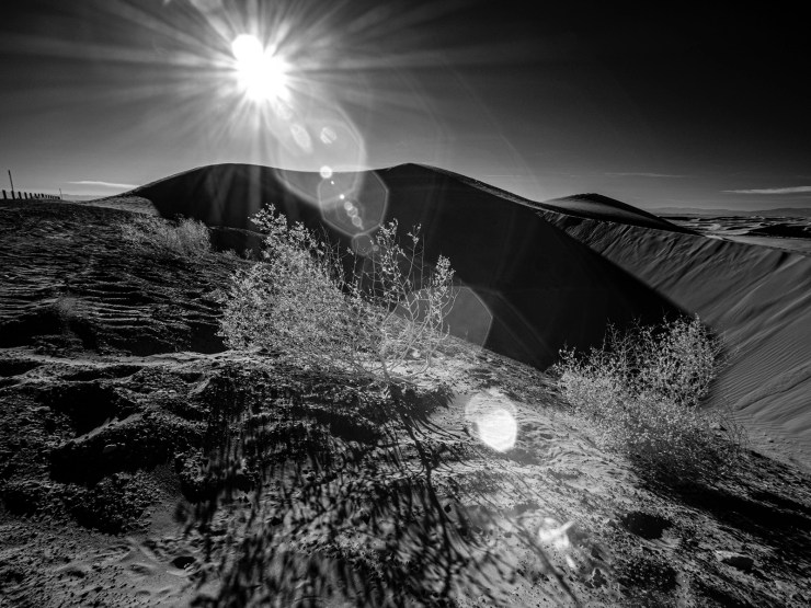 infrared photo imperial sand dunes