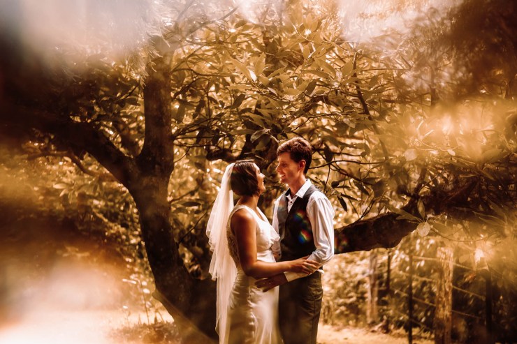 wedding couple in trees with distracting edges