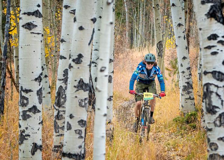 mountain bike racer riding through birch trees