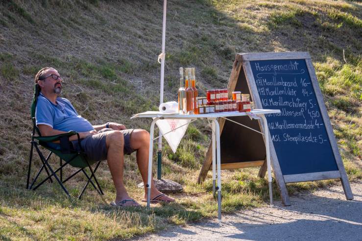 man sitting at roadside stand selling apricots