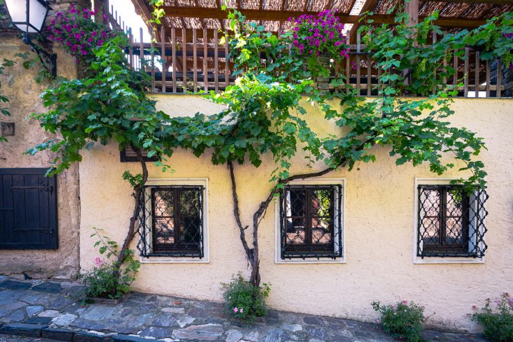 vines on wall with windows Durnstein