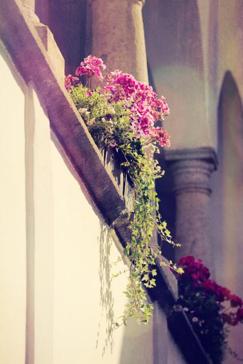 Balcony with flower boxes Linz