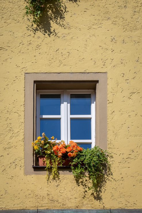 Window with flower box