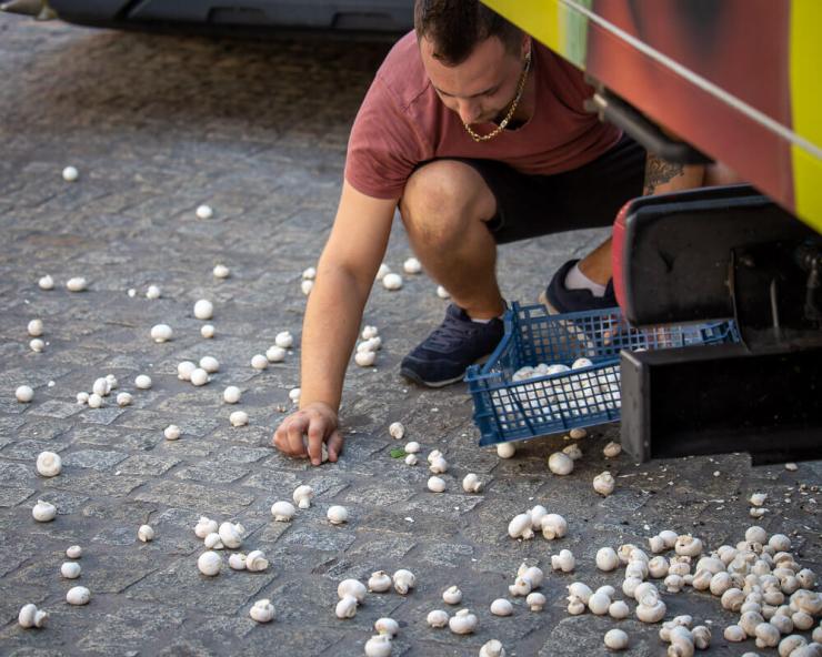 Produce delivery man with spilled mushrooms in Regensburg