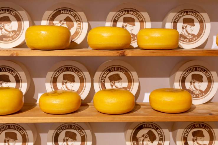 gouda cheese on shelves